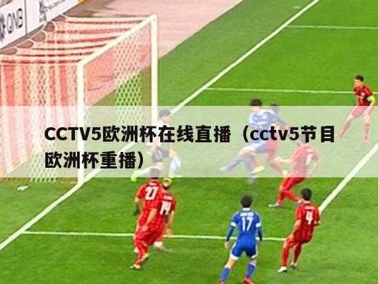 CCTV5欧洲杯在线直播（cctv5节目欧洲杯重播）